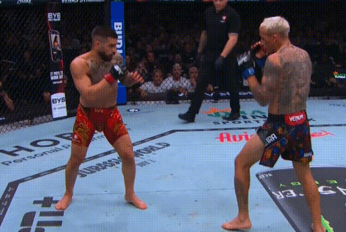 D4aCHi.gif