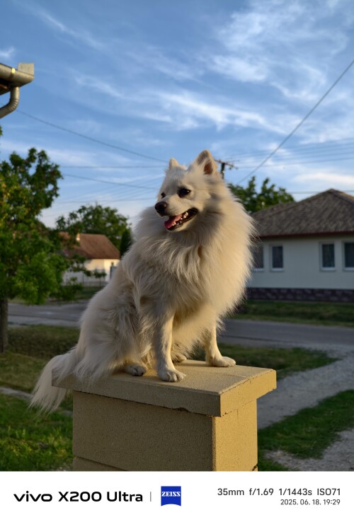 DEiK6A.jpg