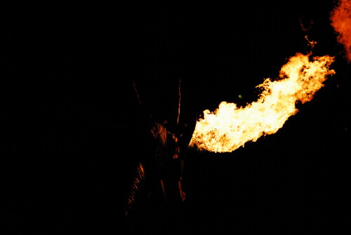 flames in the hartwall arena 2040830335 o