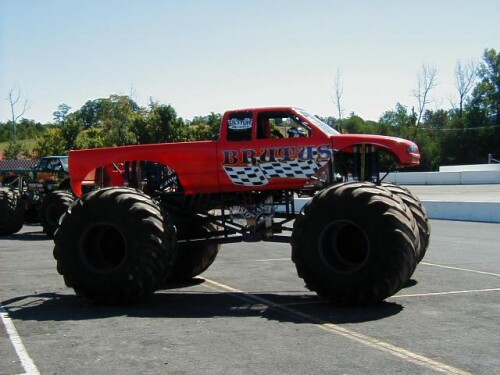 brutus