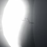 E6dWs5
