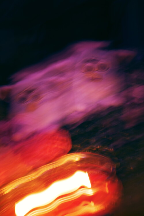 FsVkE0.jpeg