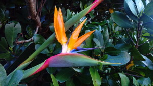 IMAG0123