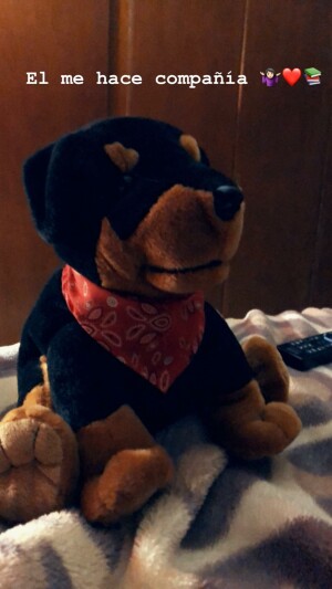El me hace compaa 