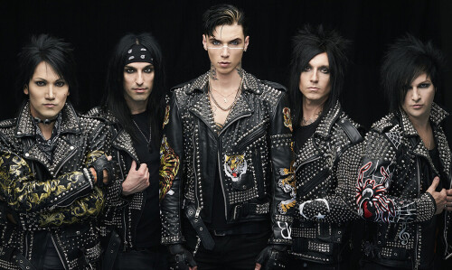 bvb header
