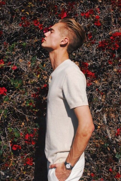 tumblr phcinldmQo1xhi1hzo2 540