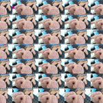 JWBaX5