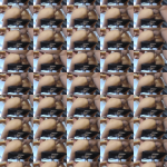 JWMSAx
