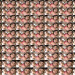 JWNtx1