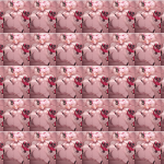 JWPPNT
