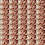 JWVY7Q