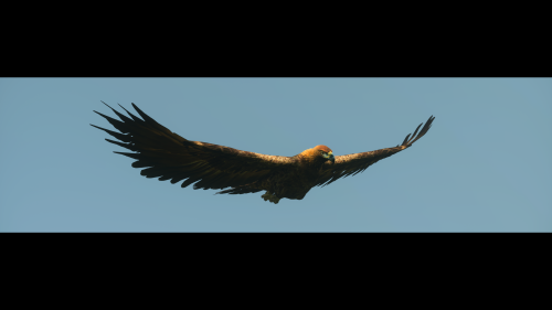 Ju6z65.png