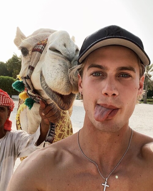 neels 72748464 190345611986190 794371231903959600 n