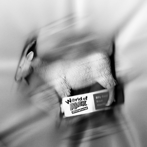N7Hg97.png