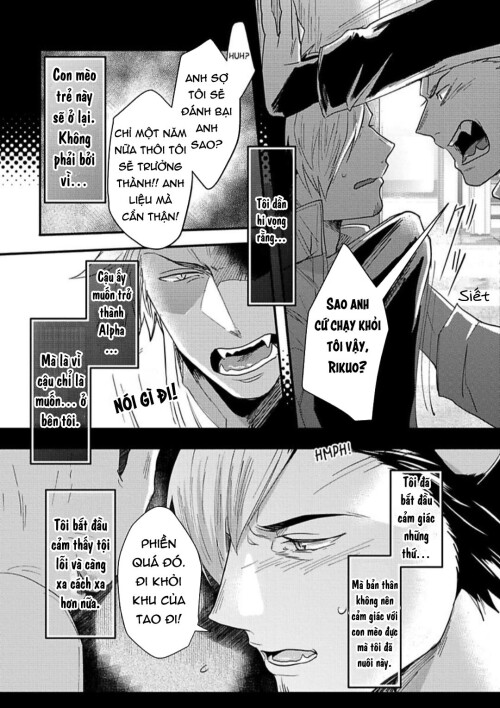 NJBW3o.jpg