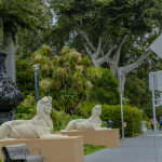 NuT0H1
