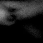 P7NIP1