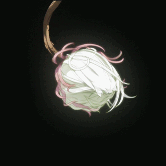 PTEXsH.gif