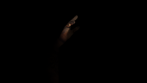 R3DSIm.png