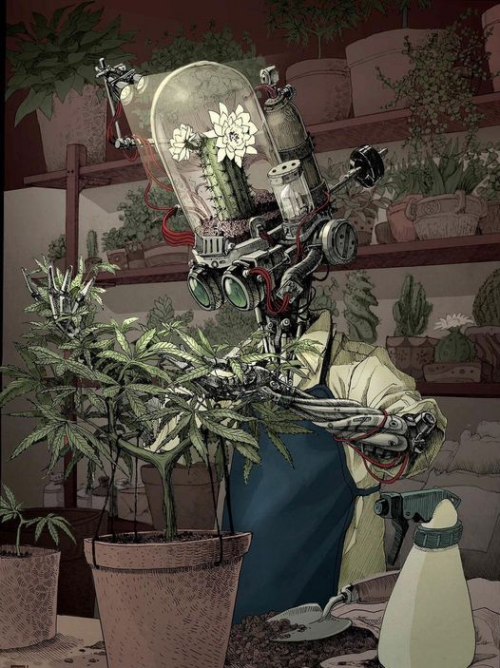 R82idD.png