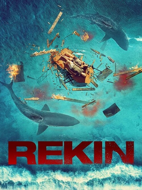 Rekin 2022