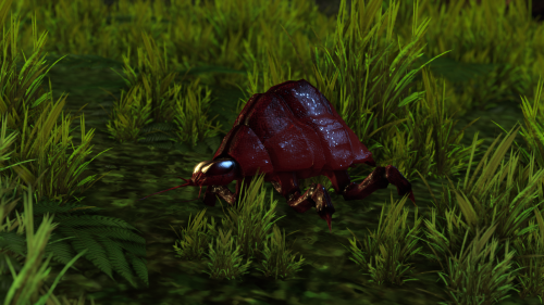 T4pJ07.png