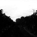 U1LA03