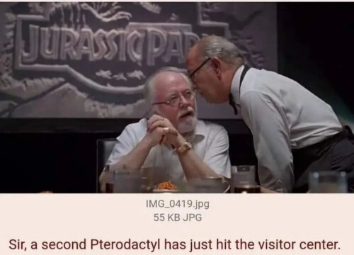 1000035121