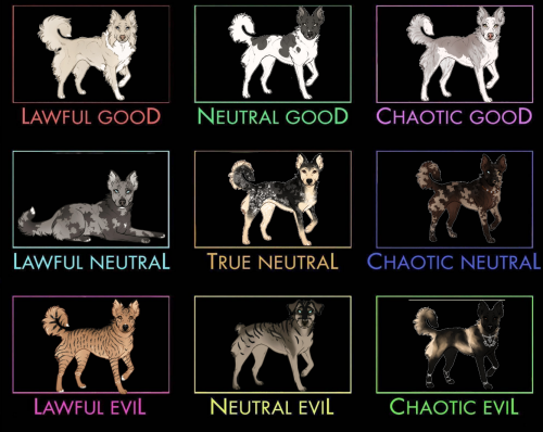 XDqR5Z.png