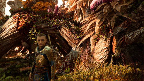 God of War Ragnarök 20221225044002 result