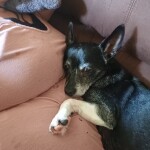 Xw69i7