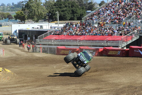 IMG 8873