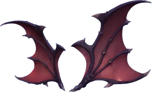 b11B2i.webp