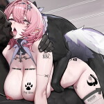 bD5apK