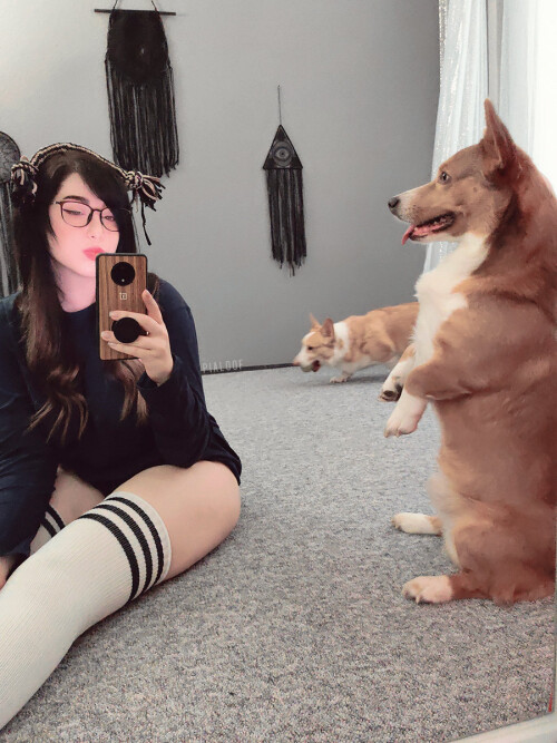 cPrWhT.jpg