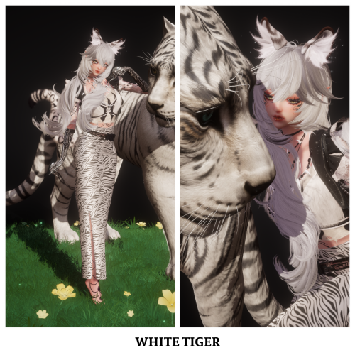 cSGdy0.png