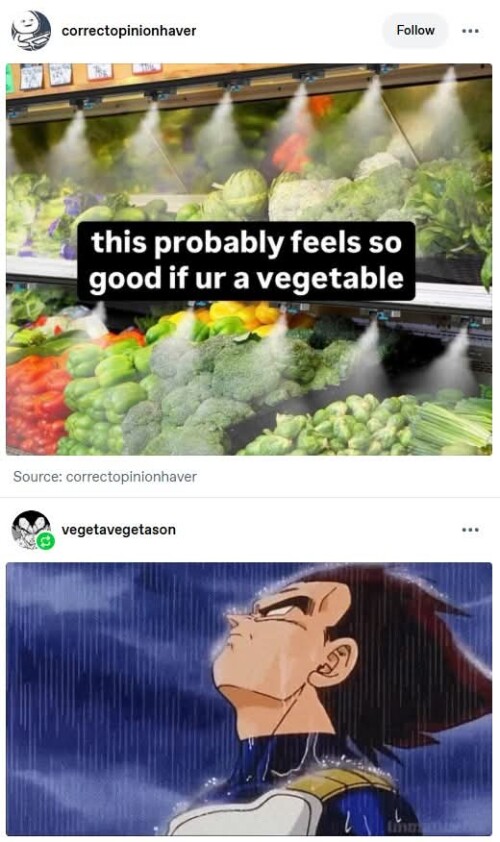 1000034432