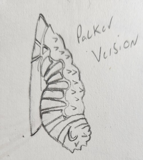 fKamqv.jpg