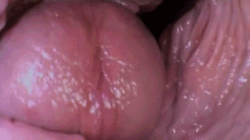 fLy1r1.gif
