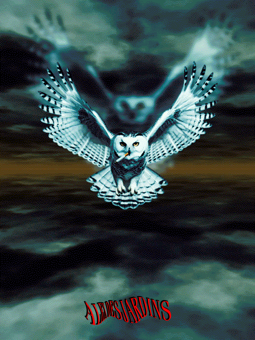fQvzP7.png