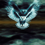 fQvzP7