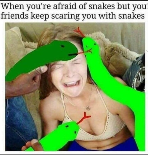 feQwvi.jpg