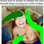 feQwvi