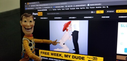 feQzZq.jpg