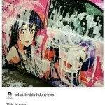 fedFsD