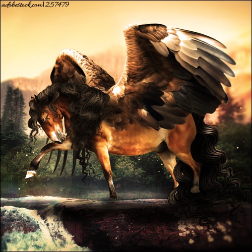 Wings Horse Image