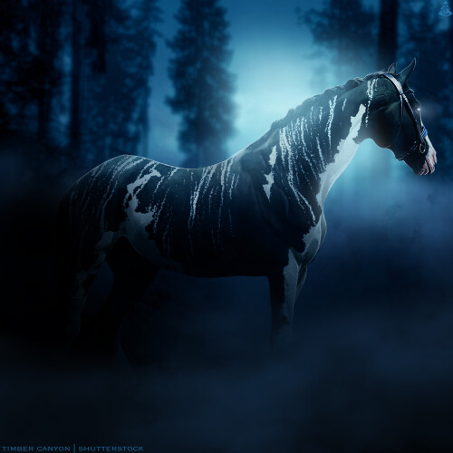 HEE Horse Avatar | Hemlarge