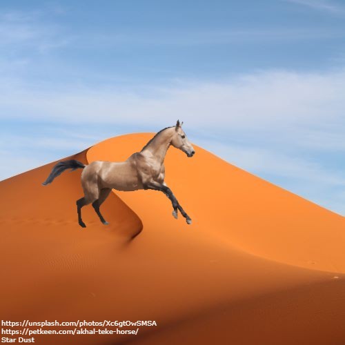 Desert Strider Horse Avi