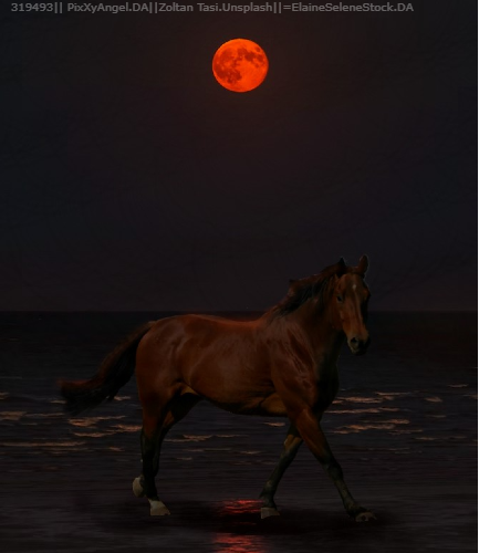 Blood Moon Mare Horsea Avi 17k