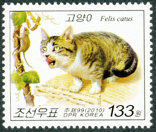 North Korea Sg 4916 Domestic cat thinking about catching a mouse